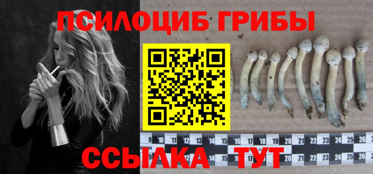 Галлюциногенные грибы мицелий Сергиев Посад